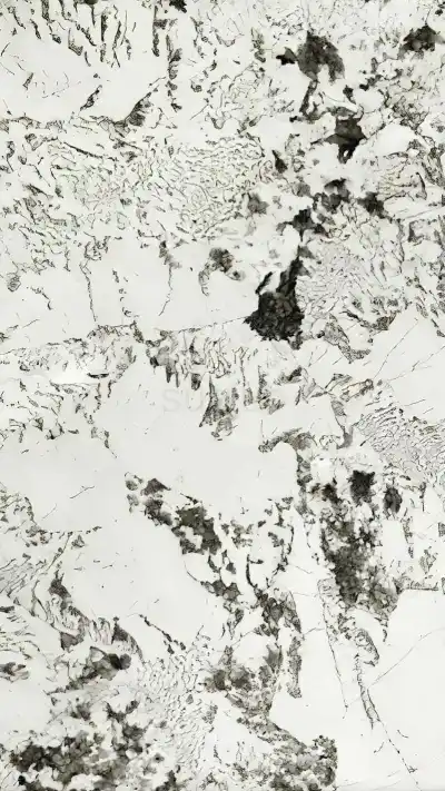 阿尔卑斯花岗岩贴图