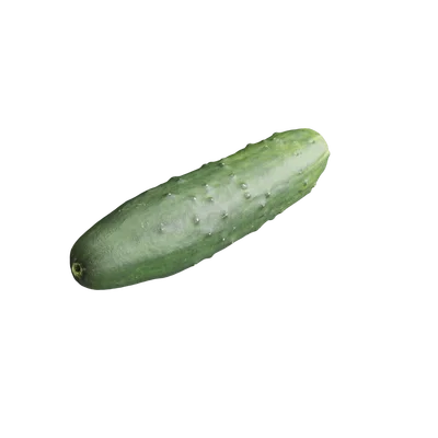 Cucumber001