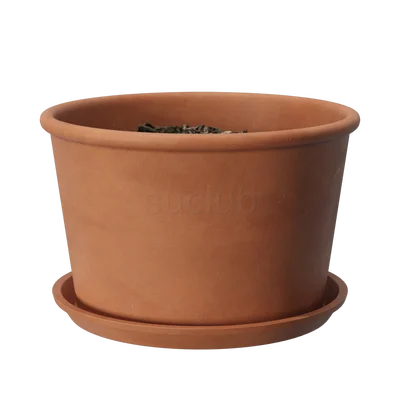 PlantPot007