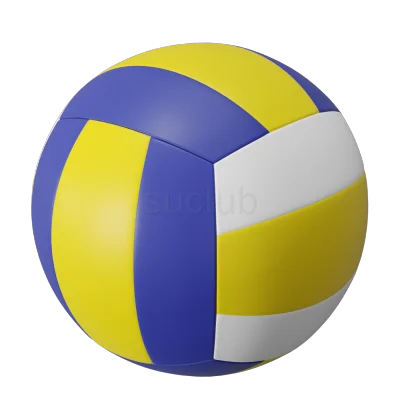 Volleyball8813