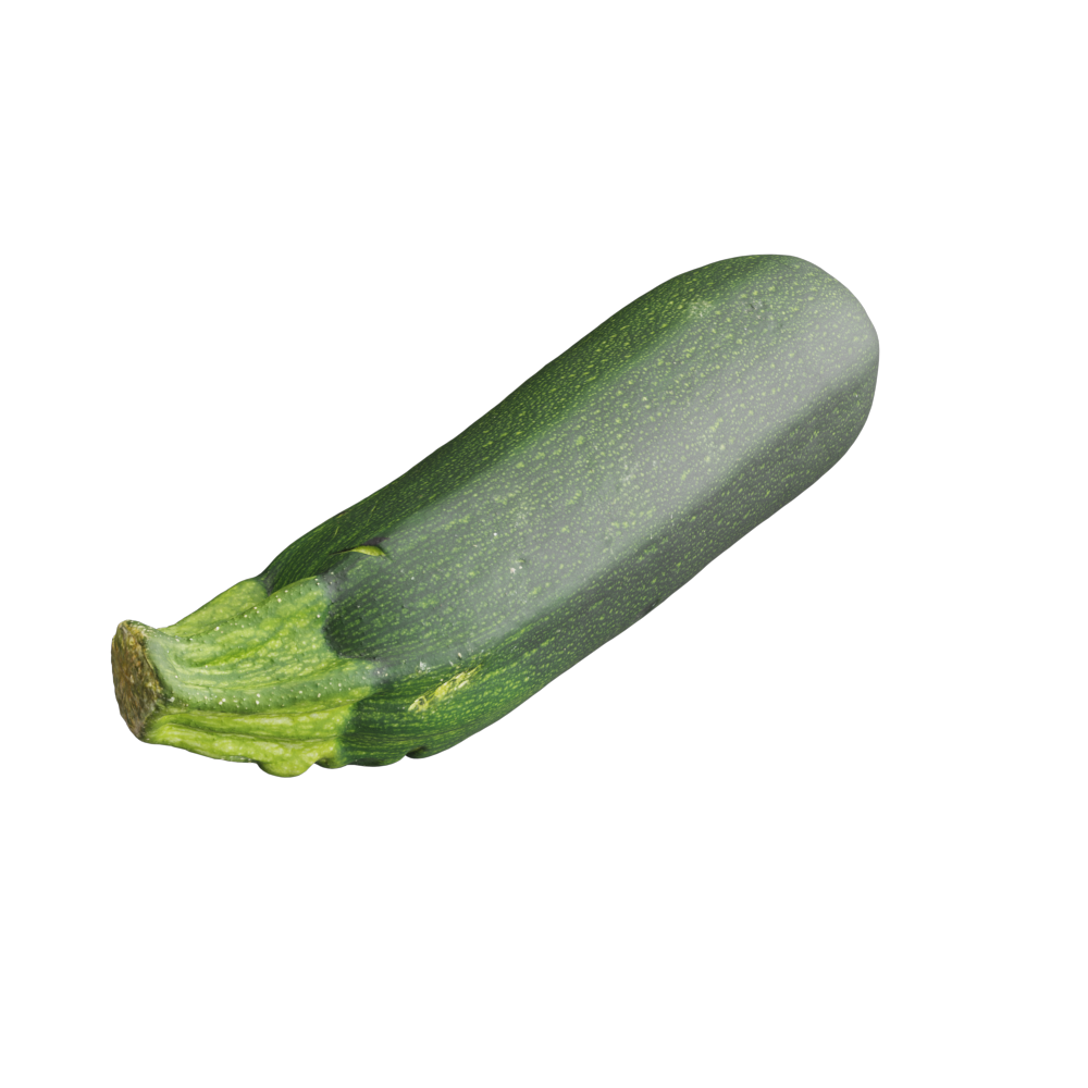 Zucchini001