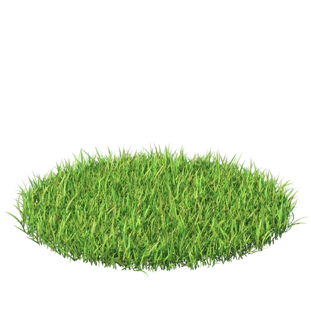 Grass9102