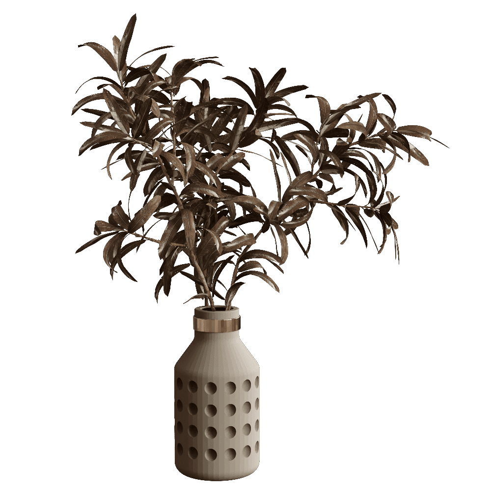 00014室内植物