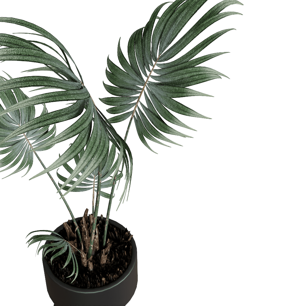 植物20230107