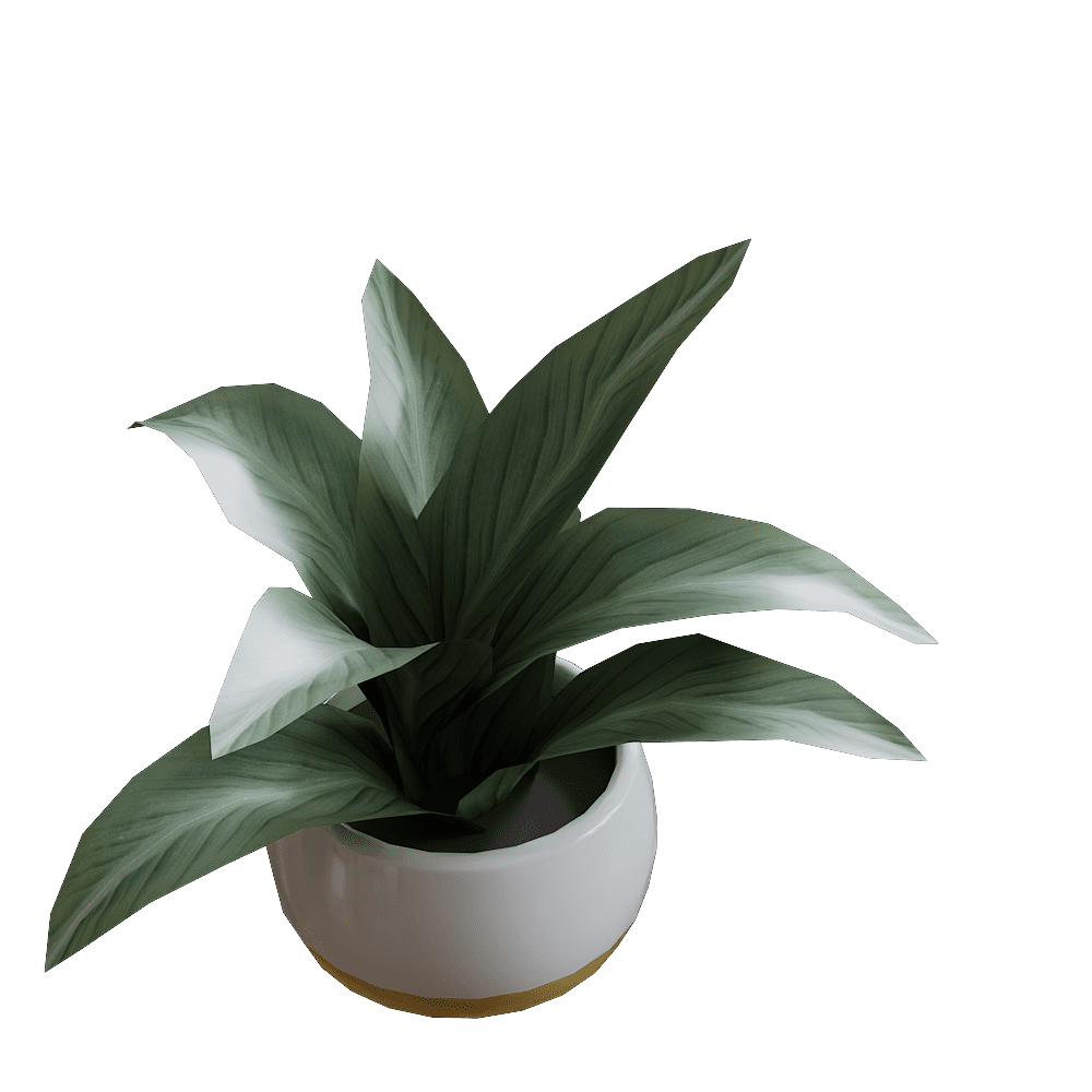 植物20230110