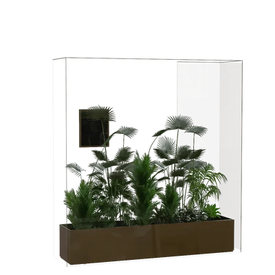 植物202610111