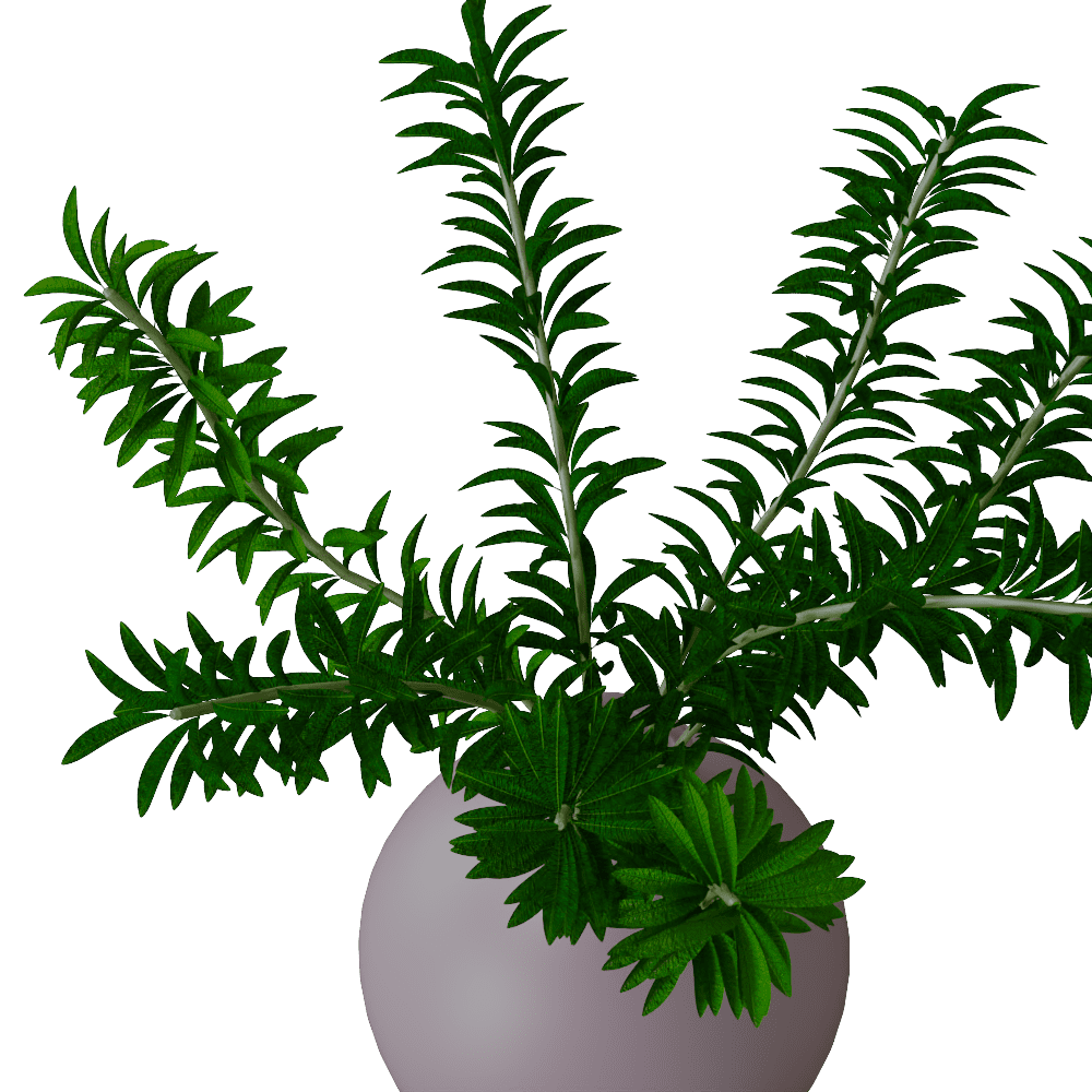 植物摆件2061651