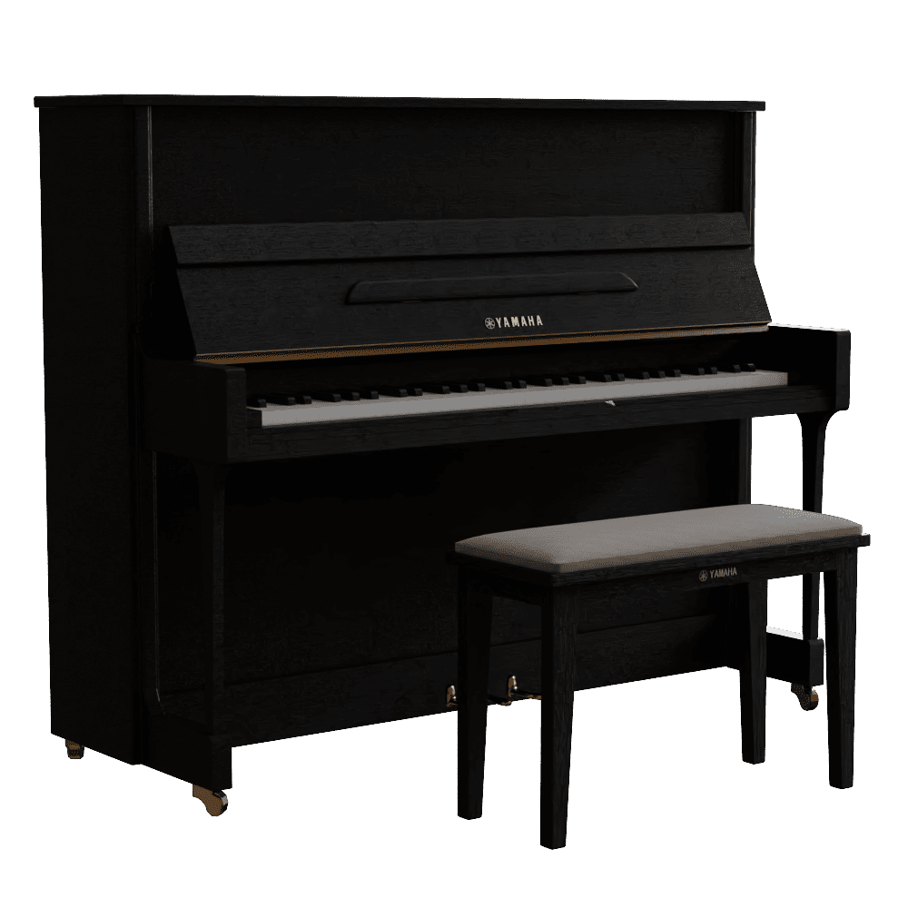 钢琴202645456