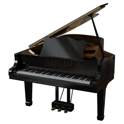 钢琴suclub216dl207930