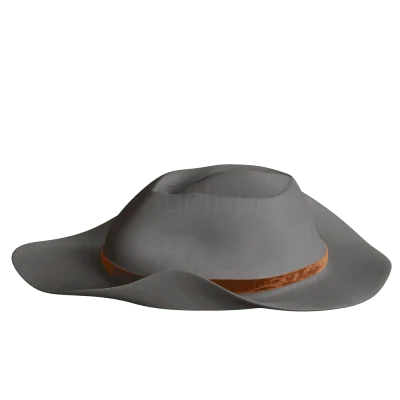 dl240603帽子151